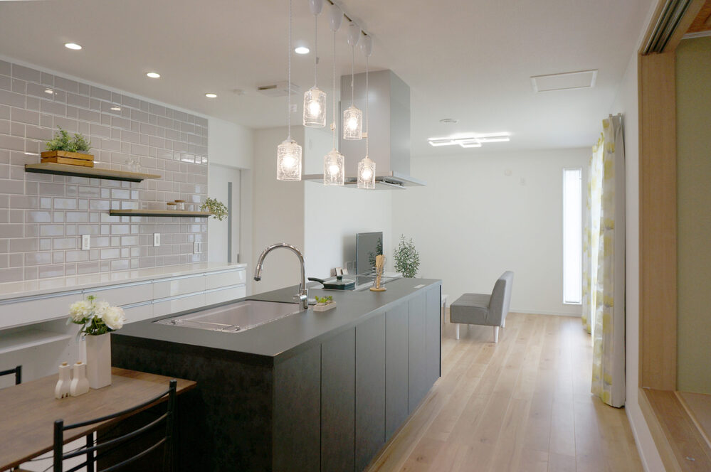 テクノストラクチャー工法のモダン平屋の家