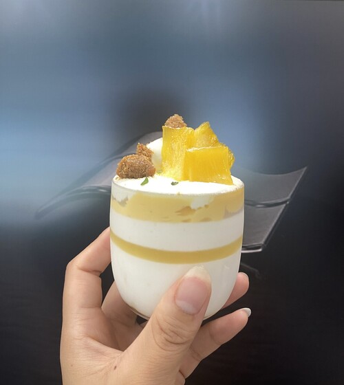 井原建設　「2027年から始まる新ZEH！？の定義【GX-ZEH、GX-ZEH＋】と現行ZEHとの違い！」