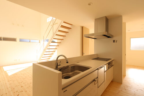 中庭から光が満ちる、白い箱の家