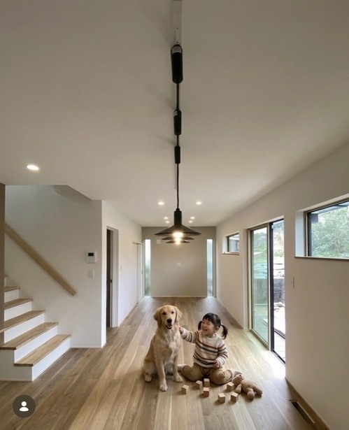 犬と生活