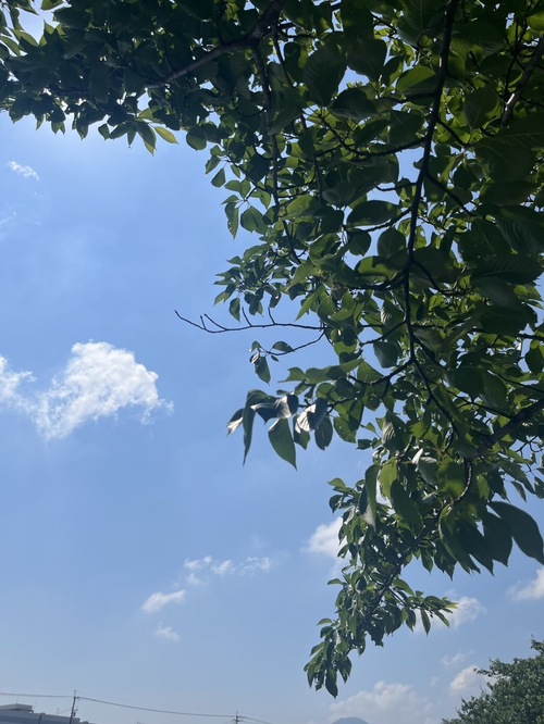 夏本番前のお問合せ増えております！