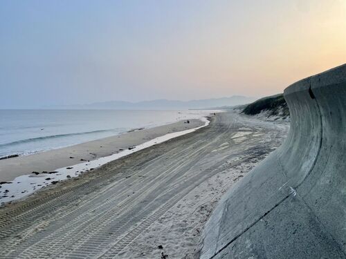 海岸清掃の跡